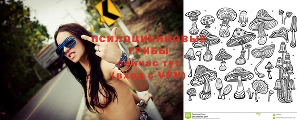 2c-b Алексеевка