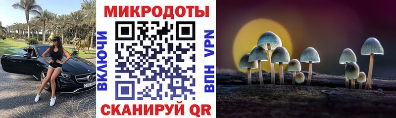 Галлюциногенные грибы прущие грибы  Ивдель 